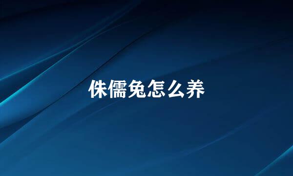 侏儒兔怎么养