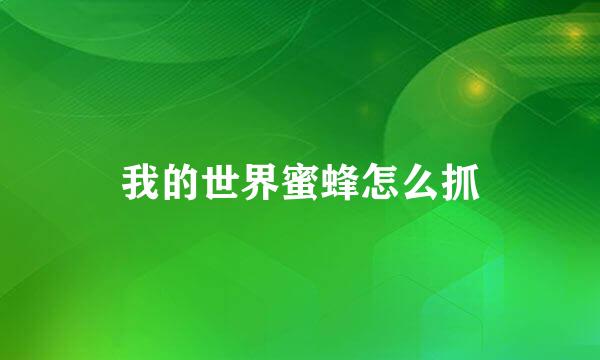 我的世界蜜蜂怎么抓