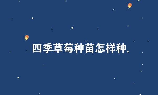 四季草莓种苗怎样种