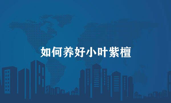 如何养好小叶紫檀