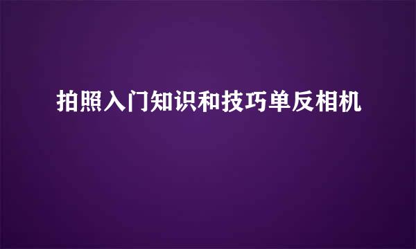 拍照入门知识和技巧单反相机