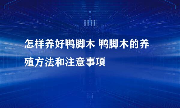 怎样养好鸭脚木 鸭脚木的养殖方法和注意事项