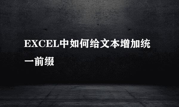 EXCEL中如何给文本增加统一前缀