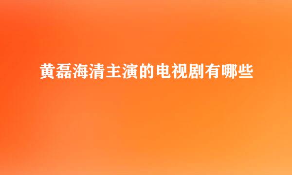 黄磊海清主演的电视剧有哪些
