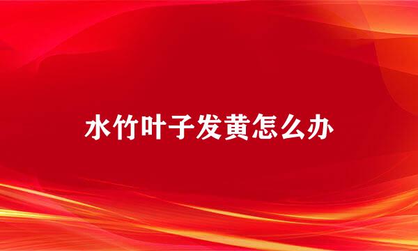 水竹叶子发黄怎么办