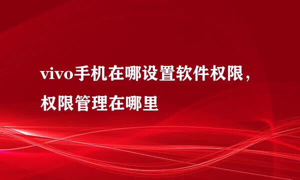 vivo手机在哪设置软件权限，权限管理在哪里