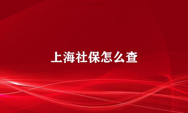 上海社保怎么查