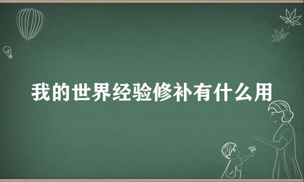 我的世界经验修补有什么用