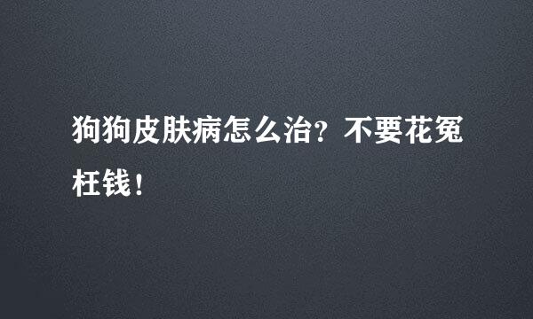狗狗皮肤病怎么治？不要花冤枉钱！