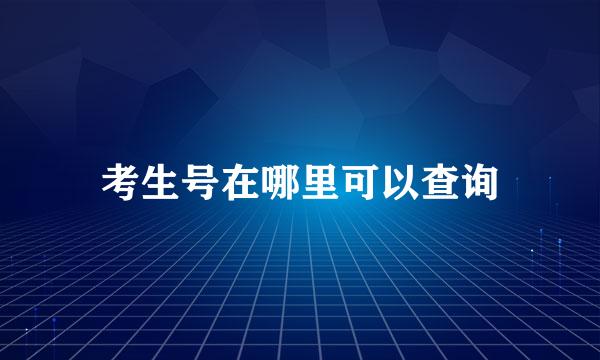 考生号在哪里可以查询