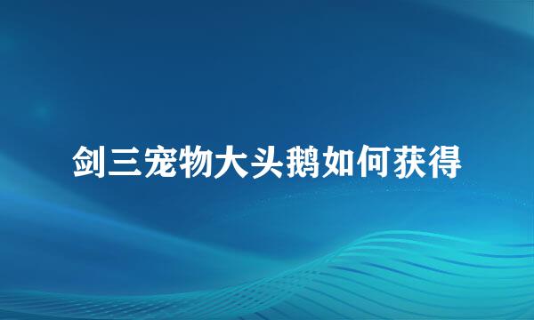 剑三宠物大头鹅如何获得