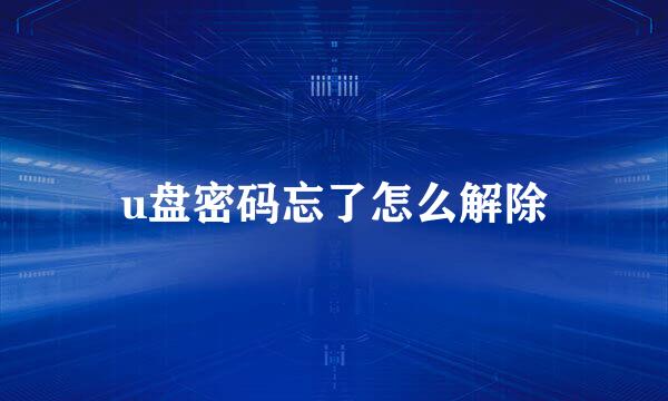 u盘密码忘了怎么解除