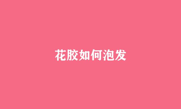 花胶如何泡发