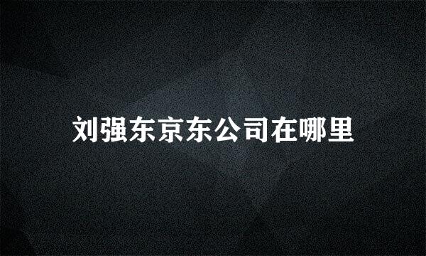 刘强东京东公司在哪里