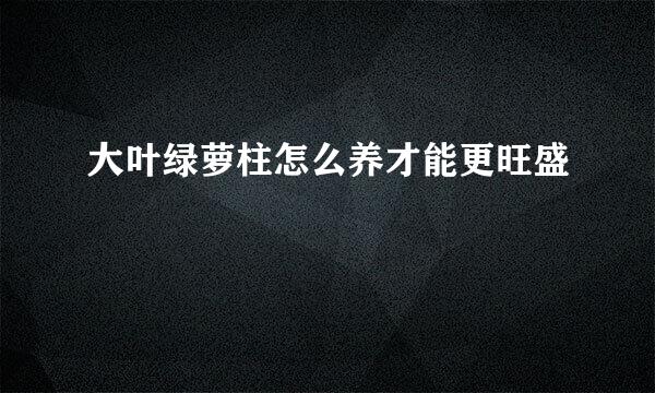 大叶绿萝柱怎么养才能更旺盛