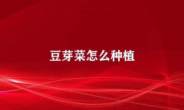 豆芽菜怎么种植