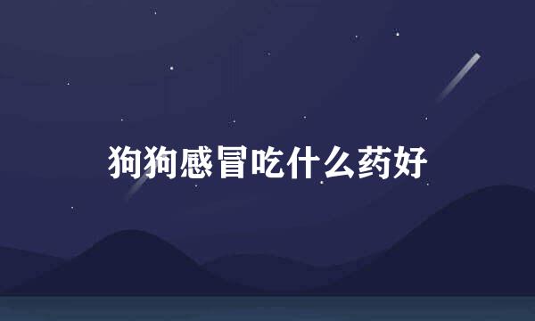 狗狗感冒吃什么药好
