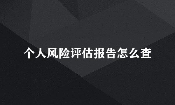 个人风险评估报告怎么查