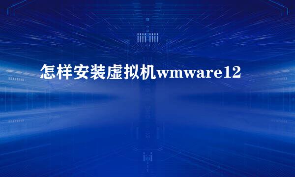 怎样安装虚拟机wmware12