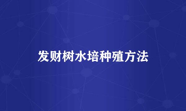 发财树水培种殖方法