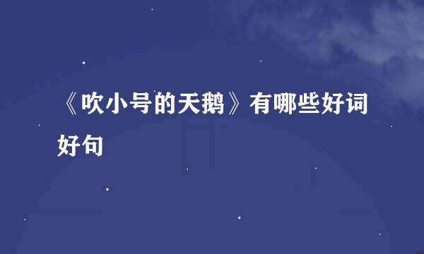 《吹小号的天鹅》有哪些好词好句