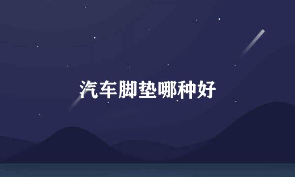 汽车脚垫哪种好