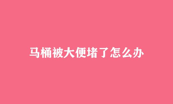 马桶被大便堵了怎么办