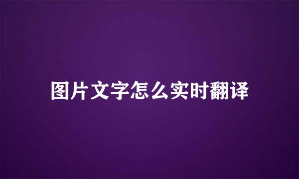 图片文字怎么实时翻译