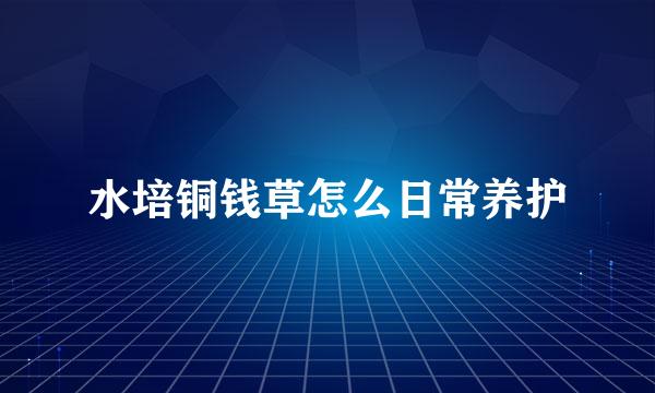 水培铜钱草怎么日常养护