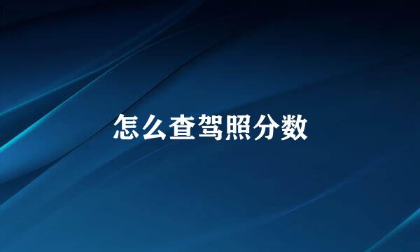 怎么查驾照分数