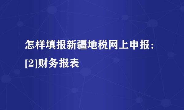 怎样填报新疆地税网上申报：[2]财务报表