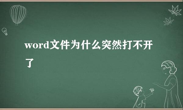 word文件为什么突然打不开了