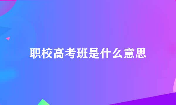 职校高考班是什么意思