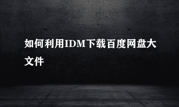 如何利用IDM下载百度网盘大文件