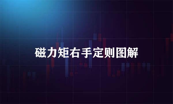 磁力矩右手定则图解