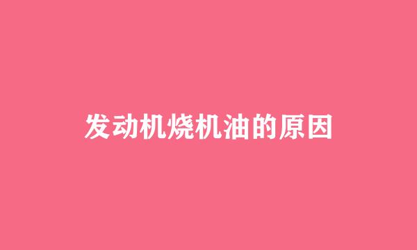 发动机烧机油的原因