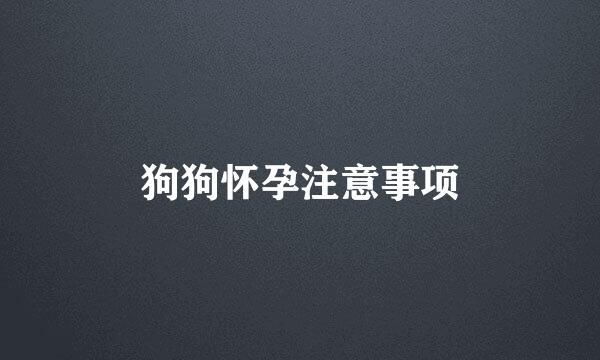 狗狗怀孕注意事项