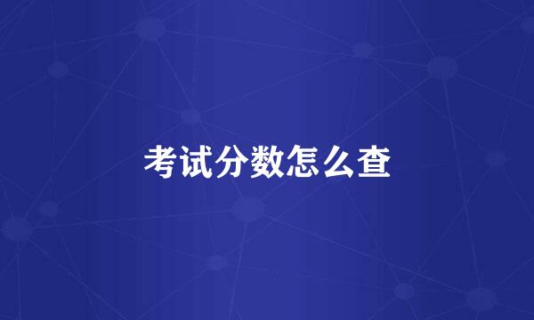 考试分数怎么查