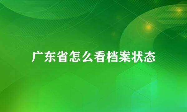广东省怎么看档案状态