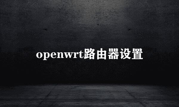 openwrt路由器设置
