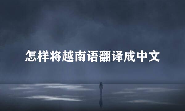 怎样将越南语翻译成中文