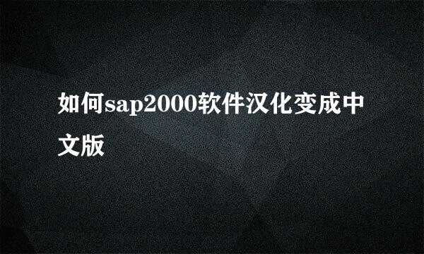 如何sap2000软件汉化变成中文版