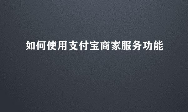 如何使用支付宝商家服务功能