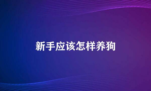 新手应该怎样养狗