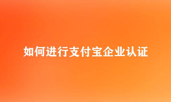 如何进行支付宝企业认证