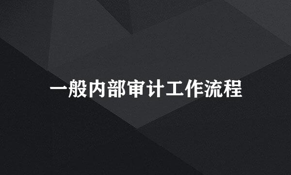 一般内部审计工作流程