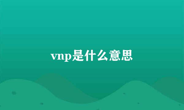vnp是什么意思
