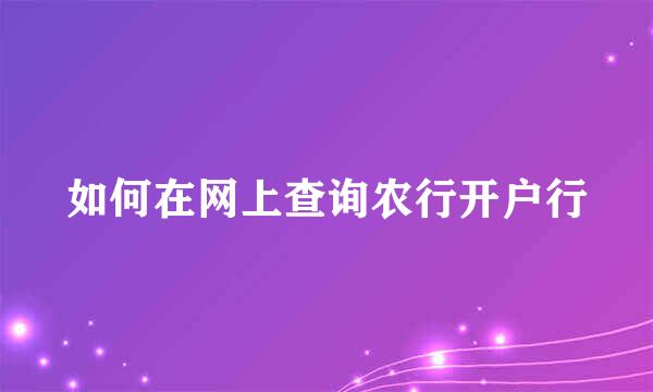 如何在网上查询农行开户行