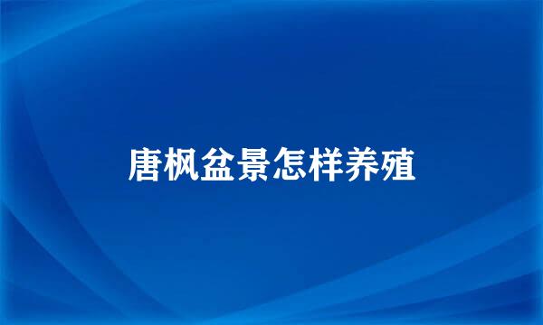 唐枫盆景怎样养殖