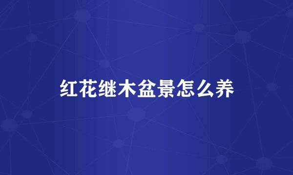 红花继木盆景怎么养
